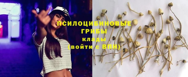 бошки Алексин