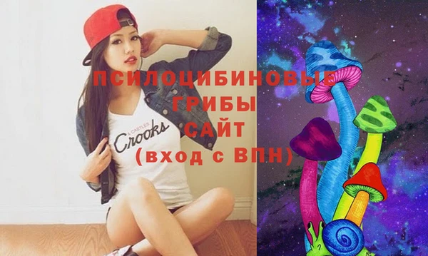 сатива Приозерск