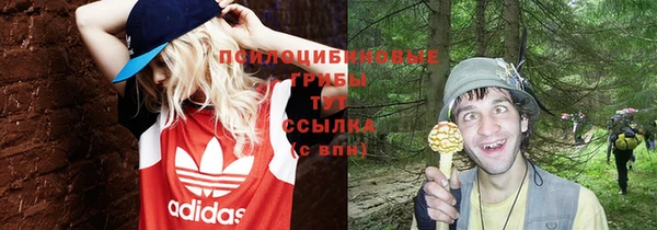 бошки Алексин