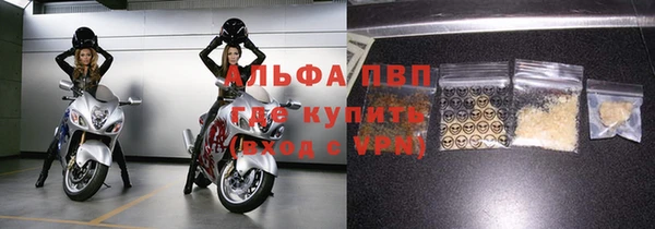 сатива Приозерск