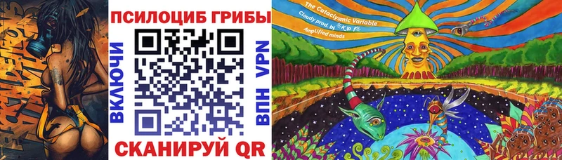Псилоцибиновые грибы мицелий Лабинск