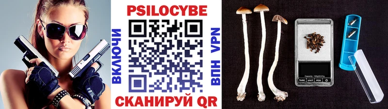гидра как войти  Лабинск  Псилоцибиновые грибы MAGIC MUSHROOMS 